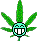 weed :weed: